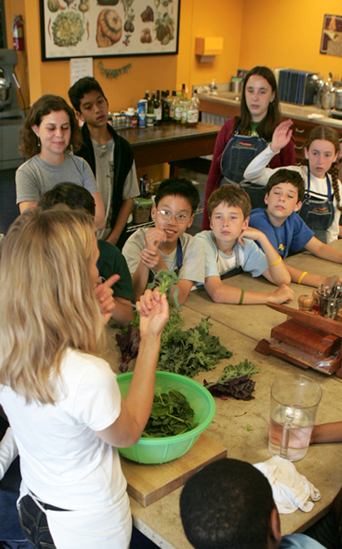 about school lunch initiative